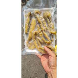 Hải Sâm Gai Vàng Con To hàng chất lượng 500g (Hỏa Tốc)