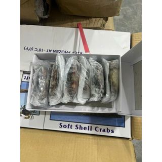 Cua Lột con lớn size 6-8 con hộp 1kg (giao tphcm)