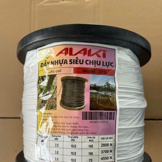 Dây nhứ PET chằng cây