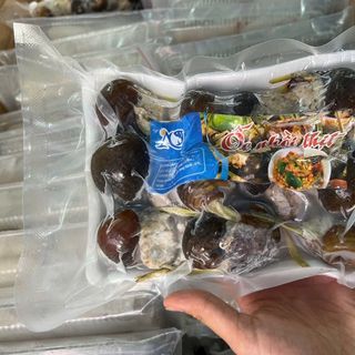 ỐC BƯƠU NHỒI NHỊT 12 CON