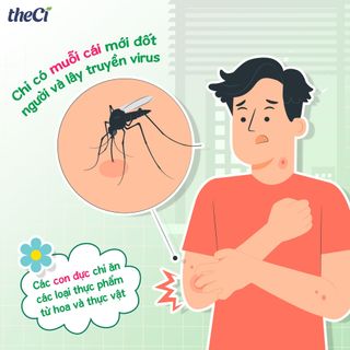 Xịt chống muỗi TheCi 50ml đuổi muỗi, côn trùngi