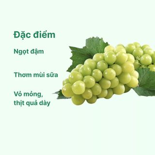 Nho mẫu đơn Hàn Quốc 450G (1 Hộp)