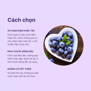 Hộp Blueberry New Zealand hộp 125g (1 Hộp)