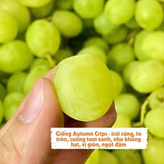 Nho xanh Autumn Crisp Úc 450g (1 Hộp)