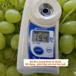 Nho xanh Autumn Crisp Úc 450g (1 Hộp)