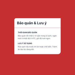 Táo Mỹ & Nam Phi túi 1.5kg (1 Túi)