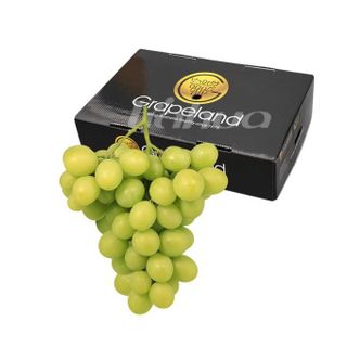 Nho xanh Autumn Crisp Grapeland 8.5kg (1 Thùng)