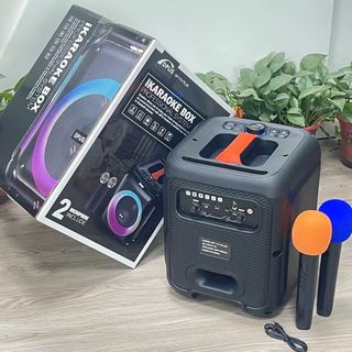 Loa Karaoke Bluetooth DP1741 Plus