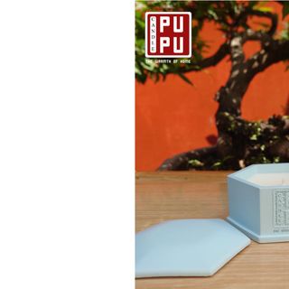 Nến Thơm TÂM GIAO PuPucandle -  Nến Thơm Gieo Kết Nối