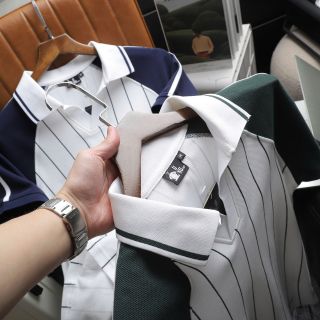 ÁO THUN CỔ BẺ BIGSIZE ROM CHẤT CÁ SẤU, THẤM HÚT MỒ HÔI TỐT P289 - LADY'S PASSION