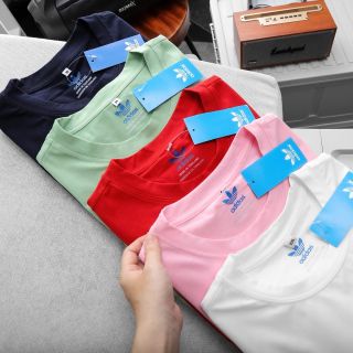 Áo thun cổ tròn dập mới về