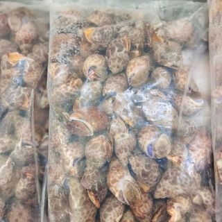 Ốc hương quê size 30-50 con 1kg (giao tphcm)