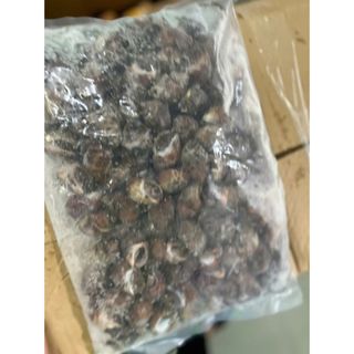 Ốc Hương Quế Hàng Chất Lượng Size 30-50 con 1kg (hỏa tốc 2h)