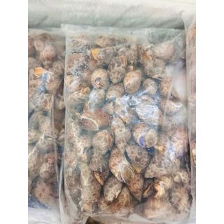 Ốc Hương Quế Hàng Chất Lượng Size 30-50 con 1kg (hỏa tốc 2h)