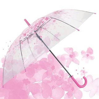 Dù Trong Suốt Hoa Anh Đào