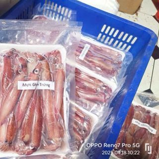 Mực ghim trứng 9-12g khay 1kg (giao tphcm) giá sỉ