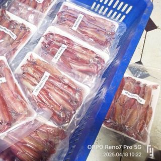 Mực ghim trứng 9-12g khay 1kg (giao tphcm)
