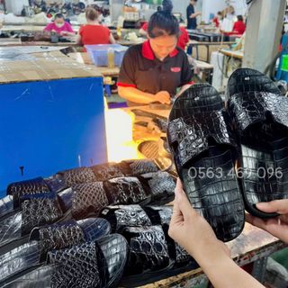 Dép cá sấu số 8