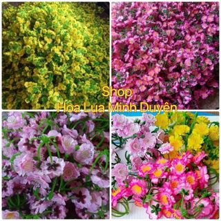 Sỉ 500gr - 1kg Mai , Đào Rời , Mai Đào Chùm , Dùng Để Kết Cây , Trang Trí Tết , Lễ Hội