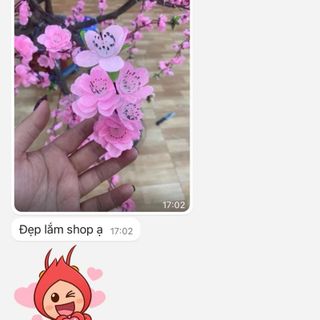 (Xưởng SX) Hoa Mai , Hoa Đào Rời , Mai Chùm , Đào Chùm, Mai Gói ,Mai Bịch , kèm Nụ , Lá Làm Cây Trang Trí Tết