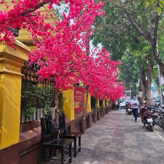 Cành Hoa Mai Giả , Cành Hoa Anh Đào Giả Giá Sỉ