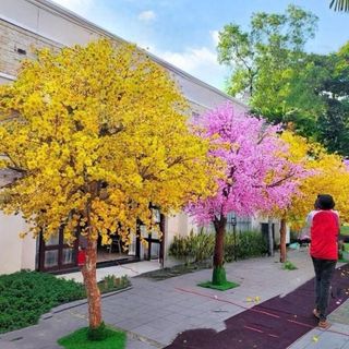 Cành Hoa Mai Giả , Cành Hoa Anh Đào Giả Giá Sỉ