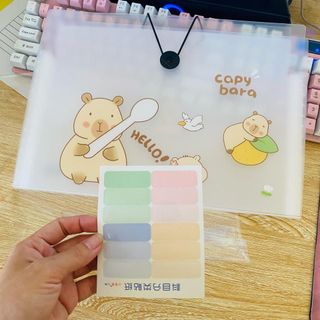TÚI ĐỰNG TÀI LIỆU 8 NGĂN KHÓA DÂY TẶNG KÈM GIẤY ĐÁNH DẤU 071 - LADY'S PASSION
