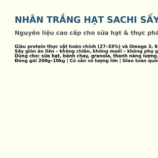 BÁN SỈ NHÂN TRẮNG HẠT SACHI SẤY GIÒN – NGUỒN PROTEIN THỰC VẬT HOÀN CHỈNH CHO NGƯỜI ĂN CHAY