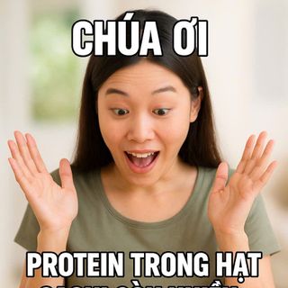 BÁN SỈ NHÂN TRẮNG HẠT SACHI SẤY GIÒN – NGUỒN PROTEIN THỰC VẬT HOÀN CHỈNH CHO NGƯỜI ĂN CHAY
