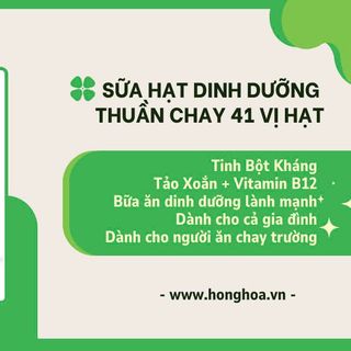 Sữa Hạt Thuần Chay 41 Vị Hạt (Bổ Sung Tảo Xoắn, Vitamin B12, Tinh Bột Kháng++) 900g/36 gói