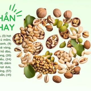 Sữa Hạt Thuần Chay 41 Vị Hạt (Bổ Sung Tảo Xoắn, Vitamin B12, Tinh Bột Kháng++) 900g/36 gói