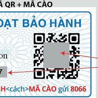 ĐỒNG HỒ NỮ CAO CẤP DANIEL W PETITE ROMAN NUMERALS DÂY THÉP MẶT TRÒN
