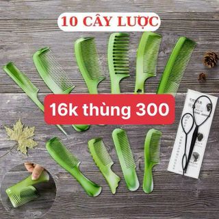 Bộ Lược Chải Đầu 10 Cái Tiện Lợi