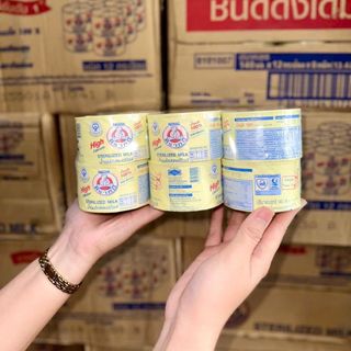 Sữa Gấu Nestle Thái Lan Lon 140ml - Tăng chiều cao