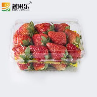 (Combo 100) hộp nhựa 1 lần đục lỗ thoáng khí Đựng Hoa Quả-hộp dâu tây 0.5KG ,1KG,1.5KG
