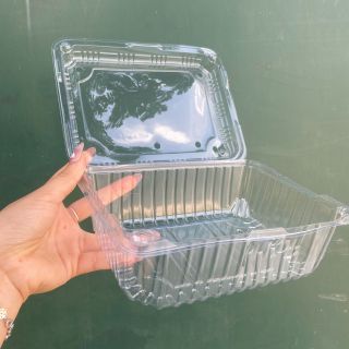 (Combo 100) hộp nhựa 1 lần đục lỗ thoáng khí Đựng Hoa Quả-hộp dâu tây 0.5KG ,1KG,1.5KG