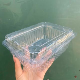 (Combo 100) hộp nhựa 1 lần đục lỗ thoáng khí Đựng Hoa Quả-hộp dâu tây 0.5KG ,1KG,1.5KG