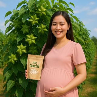 BÁN SỈ – HẠT SACHI ĂN LIỀN (TÚI 500 g / 1 kg) – SIÊU THỊNH DƯỠNG CHO MẸ BẦU & NGƯỜI ĂN KIÊNG