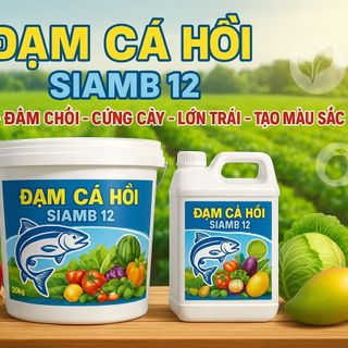 Đạm Cá Hồi SiamB 12 – Phân bón hữu cơ vi lượng cao cấp bán sỉ