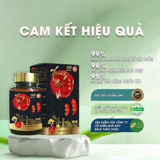 Xoang Bát Vị - Giúp Giảm Ngạt Mũi, Chảy Nước Mũi, Viêm Xoang, Viêm Mũi Dị Ứng, hộp 60 viên