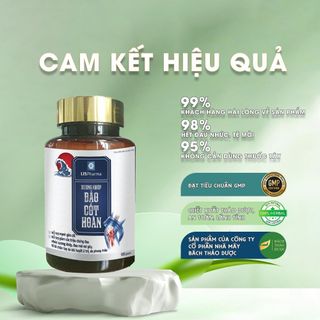 Bảo Cốt Hoàn - Hỗ Trợ Xương Khớp Khỏe Mạnh, Giảm Đau Nhức, Tăng Cường Vận Động Từ Thảo Dược, hộp 100gam
