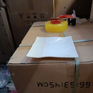 9141. đĩa phíp trắng vuông ( Thung 160c )