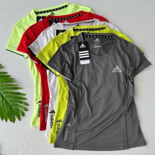 Áo thun nữ vải lỗ kim(mè) DAS né tay mới 12 màu lô vải siêu đẹp Phom chất chuẩn đẹp Size m.l.xl.xxl(ri8c) Ri 2222 Tách nửa ri được