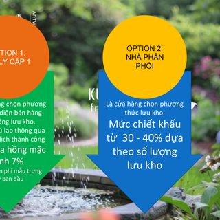 CHÍNH SÁCH NHÀ PHÂN PHỐI KUM FOUNTAIN