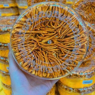 Đông trùng sợi