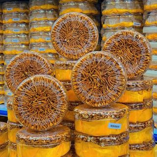 Đông trùng sợi