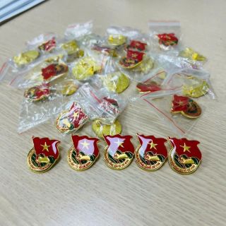 Huy hiệu đoàn cao cấp