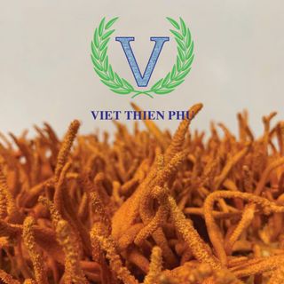 BÁN HÀNG ĐÔNG TRÙNG HẠ THẢO 0 CẦN VỐN CÙNG VIỆT THIÊN PHÚ