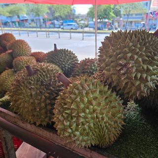 Sầu riêng Bến Tre