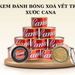 KEM ĐÁNH BÓNG CAR CREAM CANA 220GR